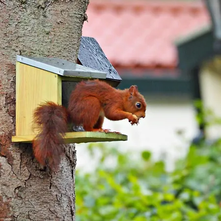Het Vossenhol Ermelo