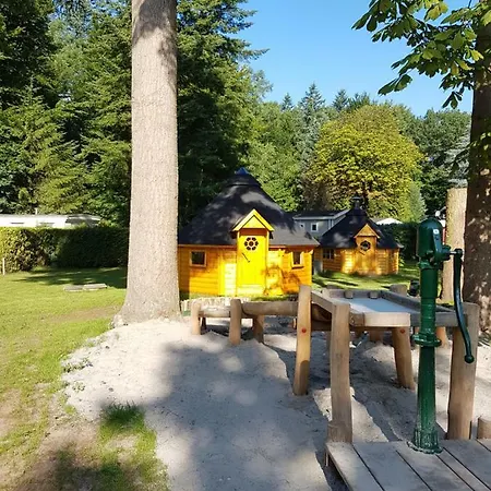 Het Vossenhol Lüks kamp alanı Ermelo