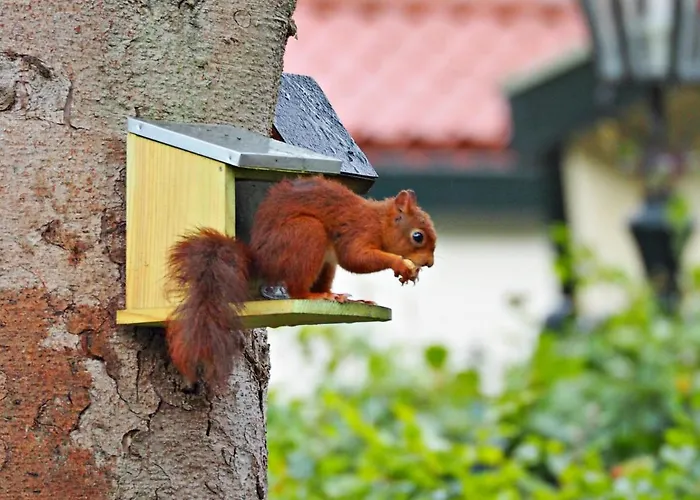 Het Vossenhol Ermelo